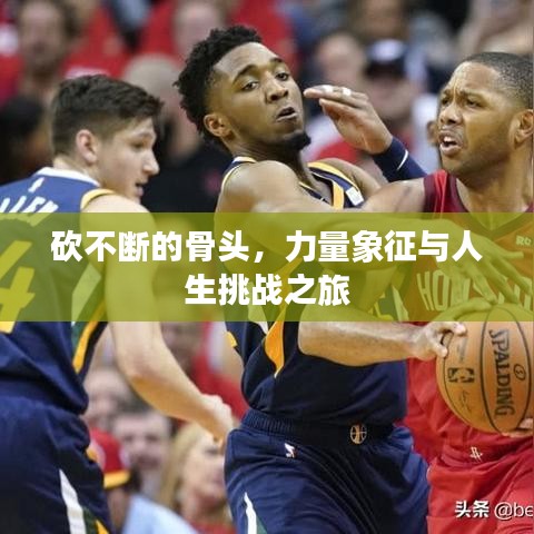 飛奇鉤貨 第2頁(yè)