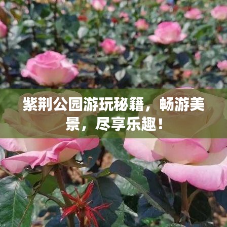 紫荊公園游玩秘籍，暢游美景，盡享樂(lè)趣！