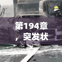 第194章，突發(fā)狀況緊急來襲