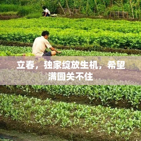 立春，獨家綻放生機，希望滿園關不住