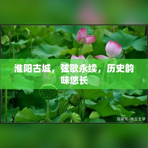 淮陽古城，弦歌永續(xù)，歷史韻味悠長