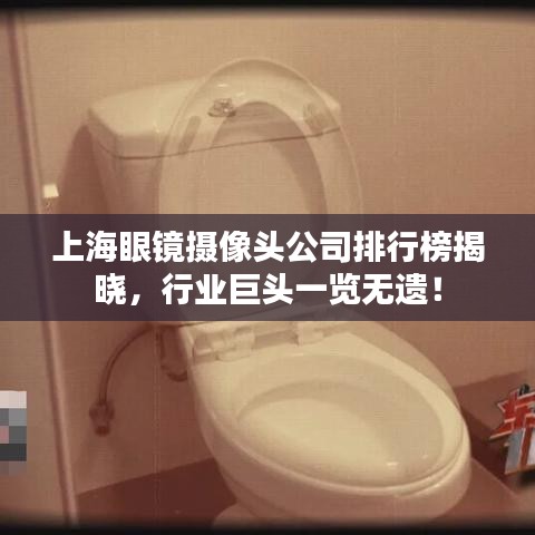 上海眼鏡攝像頭公司排行榜揭曉，行業(yè)巨頭一覽無(wú)遺！