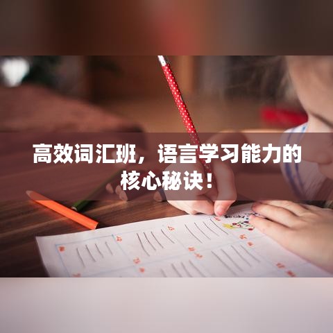 高效詞匯班，語(yǔ)言學(xué)習(xí)能力的核心秘訣！