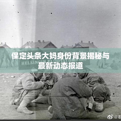 保定頭條大媽身份背景揭秘與最新動態(tài)報道