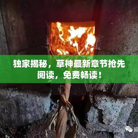 獨家揭秘，草神最新章節(jié)搶先閱讀，免費暢讀！