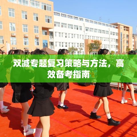 雙減專題復習策略與方法，高效備考指南