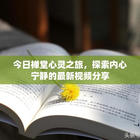 今日禪堂心靈之旅，探索內(nèi)心寧靜的最新視頻分享