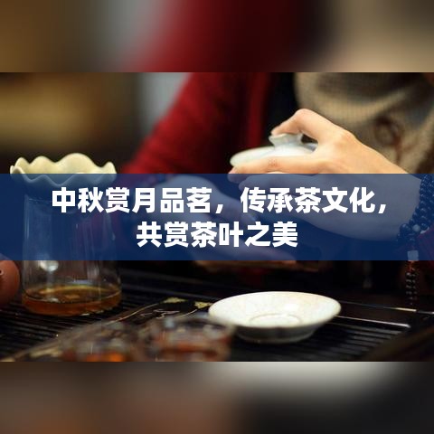 中秋賞月品茗，傳承茶文化，共賞茶葉之美