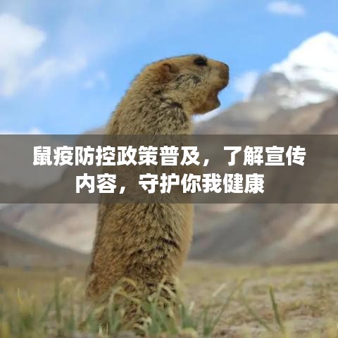 鼠疫防控政策普及，了解宣傳內(nèi)容，守護(hù)你我健康