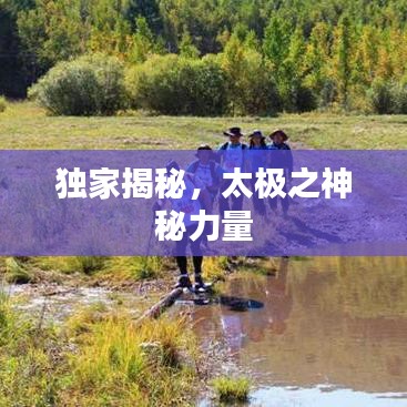 獨(dú)家揭秘，太極之神秘力量