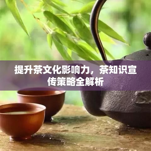 提升茶文化影響力，茶知識(shí)宣傳策略全解析