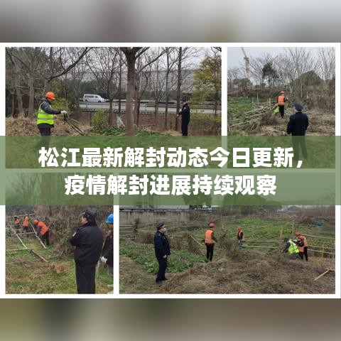 松江最新解封動(dòng)態(tài)今日更新，疫情解封進(jìn)展持續(xù)觀察