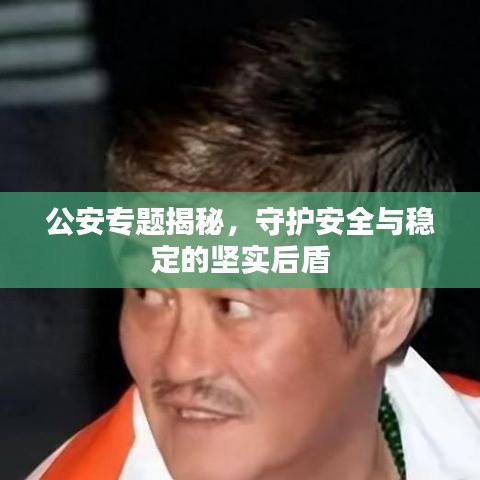 公安專題揭秘，守護(hù)安全與穩(wěn)定的堅(jiān)實(shí)后盾