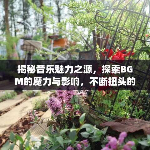 揭秘音樂魅力之源，探索BGM的魔力與影響，不斷扭頭的韻律震撼