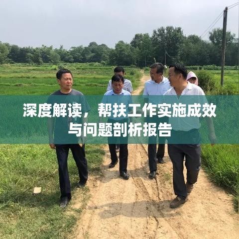 深度解讀，幫扶工作實(shí)施成效與問題剖析報(bào)告