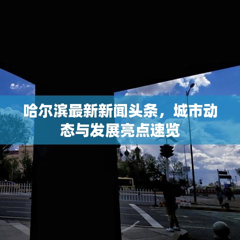 哈爾濱最新新聞頭條，城市動態(tài)與發(fā)展亮點(diǎn)速覽