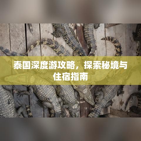泰國深度游攻略，探索秘境與住宿指南