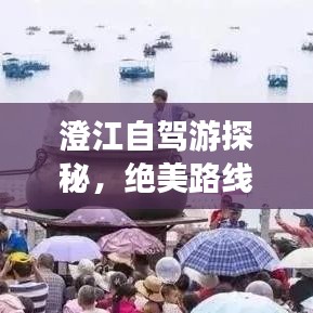 澄江自駕游探秘，絕美路線一網(wǎng)打盡！