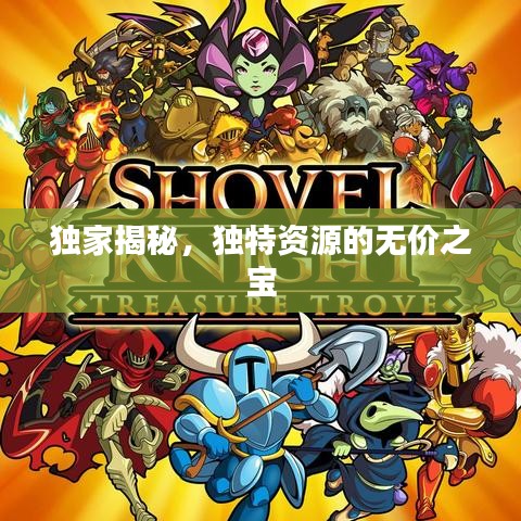 獨家揭秘，獨特資源的無價之寶