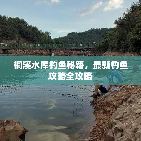 桐溪水庫釣魚秘籍，最新釣魚攻略全攻略