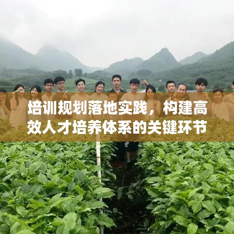 培訓(xùn)規(guī)劃落地實踐，構(gòu)建高效人才培養(yǎng)體系的關(guān)鍵環(huán)節(jié)