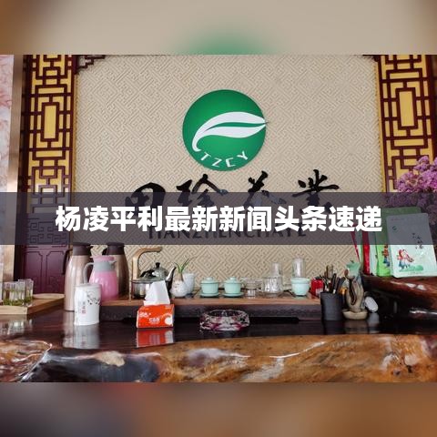 楊凌平利最新新聞?lì)^條速遞