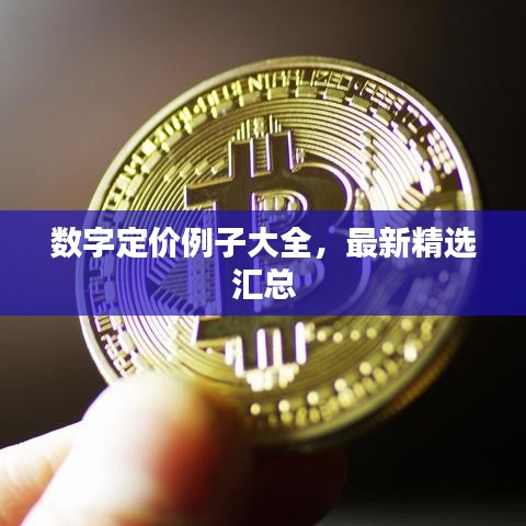 數(shù)字定價(jià)例子大全，最新精選匯總