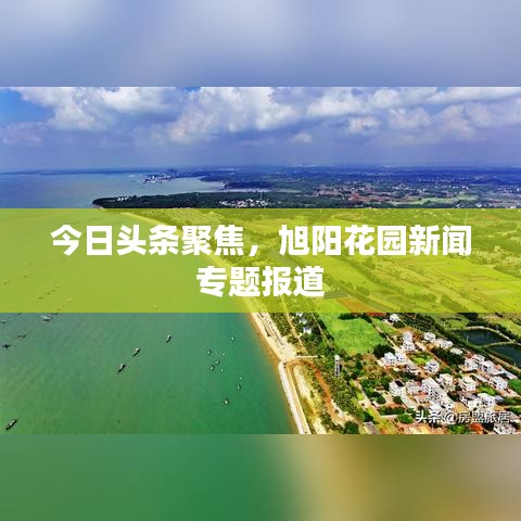 今日頭條聚焦，旭陽花園新聞專題報道