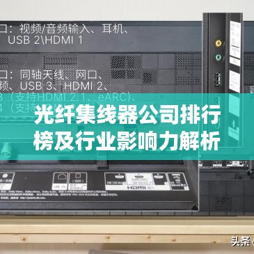 地老天荒 第2頁