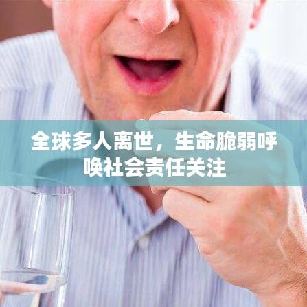 全球多人離世，生命脆弱呼喚社會責(zé)任關(guān)注