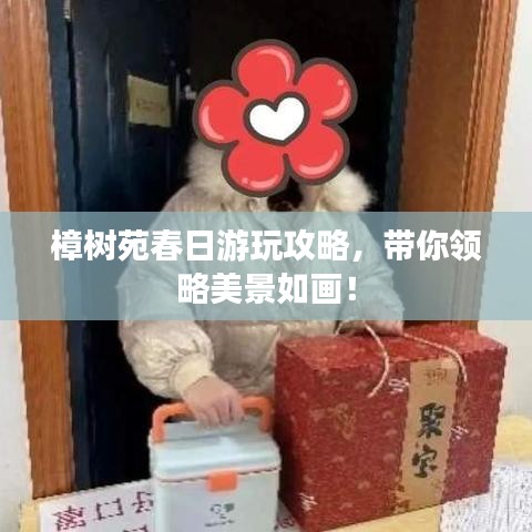 樟樹(shù)苑春日游玩攻略，帶你領(lǐng)略美景如畫！