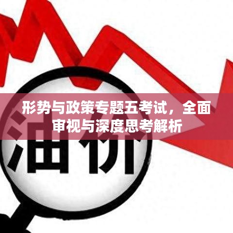 形勢與政策專題五考試，全面審視與深度思考解析