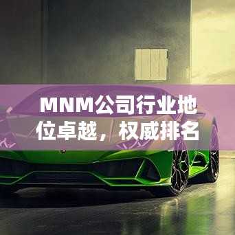MNM公司行業(yè)地位卓越，權威排名揭曉！