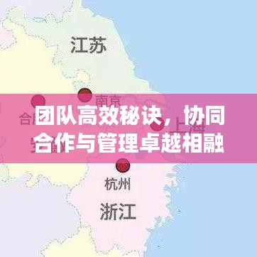 團(tuán)隊高效秘訣，協(xié)同合作與管理卓越相融合