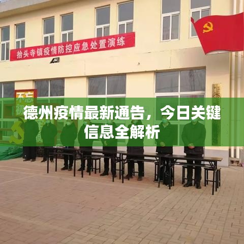 德州疫情最新通告，今日關(guān)鍵信息全解析