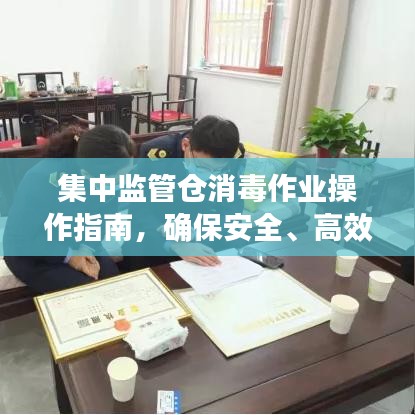 集中監(jiān)管倉消毒作業(yè)操作指南，確保安全、高效的消毒流程