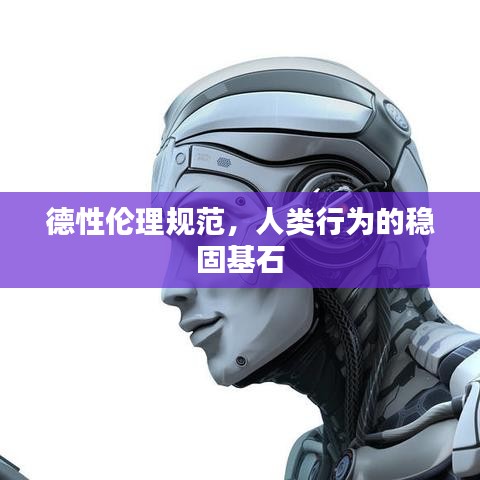德性倫理規(guī)范，人類行為的穩(wěn)固基石