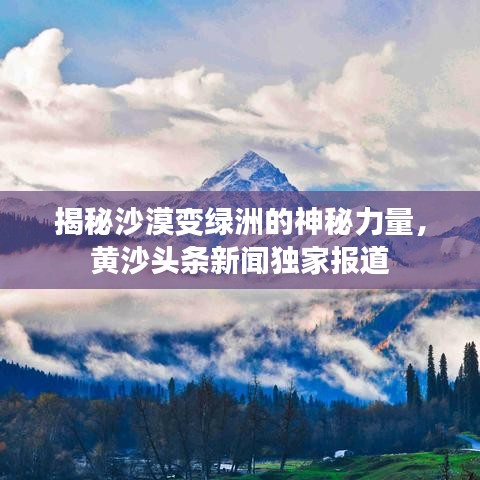 揭秘沙漠變綠洲的神秘力量，黃沙頭條新聞獨(dú)家報道