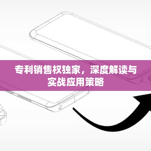 專利銷售權(quán)獨(dú)家，深度解讀與實(shí)戰(zhàn)應(yīng)用策略