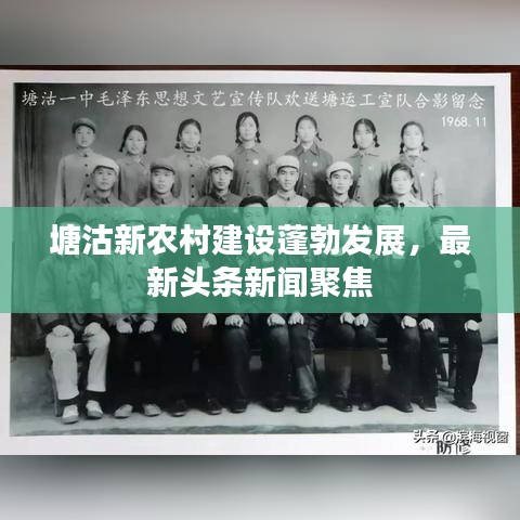 塘沽新農(nóng)村建設(shè)蓬勃發(fā)展，最新頭條新聞聚焦