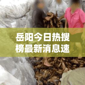 岳陽(yáng)今日熱搜榜最新消息速遞