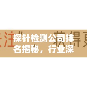 探針檢測公司排名揭秘，行業(yè)深度分析與趨勢預測