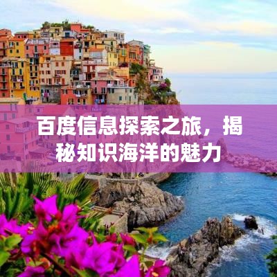 百度信息探索之旅，揭秘知識海洋的魅力