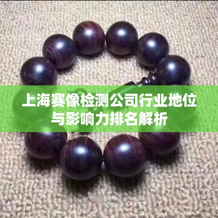 上海賽像檢測公司行業(yè)地位與影響力排名解析