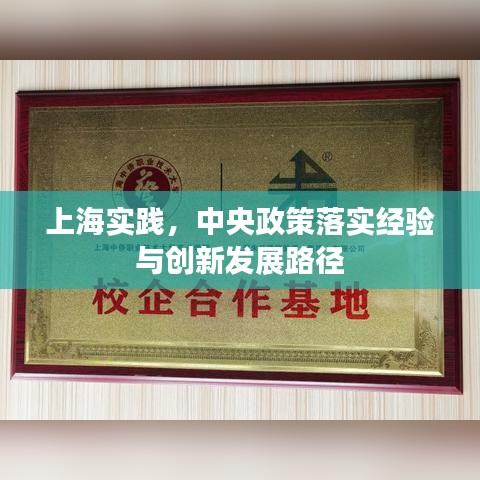 上海實(shí)踐，中央政策落實(shí)經(jīng)驗(yàn)與創(chuàng)新發(fā)展路徑