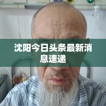 沈陽(yáng)今日頭條最新消息速遞