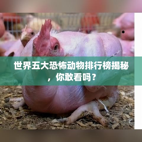 世界五大恐怖動物排行榜揭秘，你敢看嗎？
