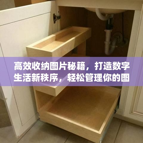 高效收納圖片秘籍，打造數(shù)字生活新秩序，輕松管理你的圖片世界！