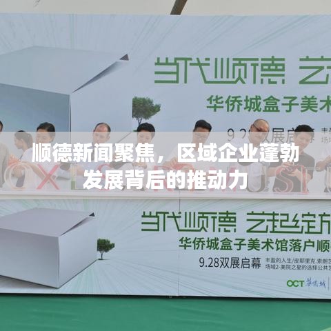 順德新聞聚焦，區(qū)域企業(yè)蓬勃發(fā)展背后的推動(dòng)力