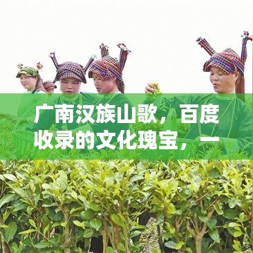 廣南漢族山歌，百度收錄的文化瑰寶，一曲傳承千年的旋律